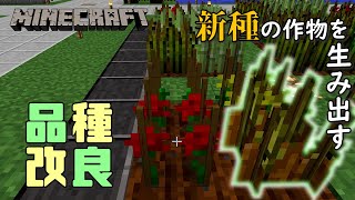 【Minecraft】#19 花からカボチャが生まれるなんて、メンデルさんもビックリ【マイクラ】