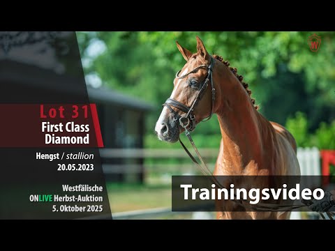 ONLIVE Herbst-Auktion Trainingsvideo Lot31First Class Diamond Hengst v. Franz Joseph Jr.-Diamond Hit