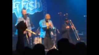 Reel Big Fish - She&#39;s Famous Now @ House of Blues in Boston, MA (1/29/15)