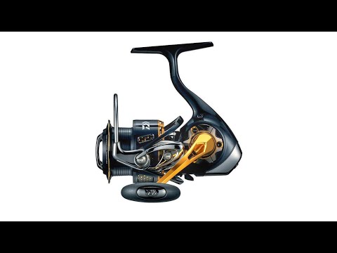 Misza z Bratem - 175 Kołowrotek