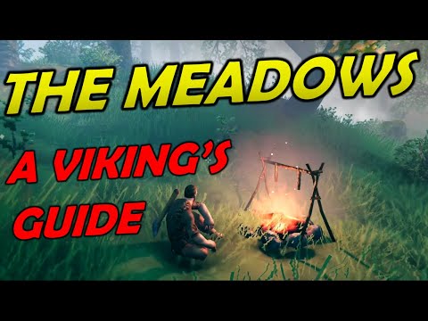 A Viking's Guide to THE MEADOWS - Valheim Guide