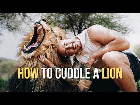 How to cuddle a Lion! - Dean Schneider
