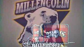 Turnkey Paradise-Millencolin
