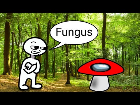 Fungus