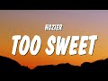 Hozier Too Sweet Lyrics You Re Too Sweet For Me I Take My Whiskey Neat