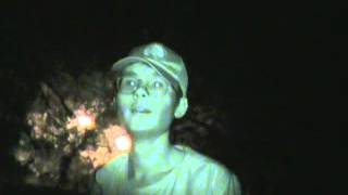 suburban youth finds hidden structure