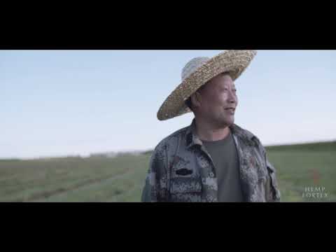 Hemp Fortex video