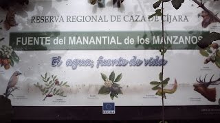 preview picture of video 'Camino Bohonal, vista hembra de ciervo o corzo y crias de oveja 2014'