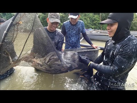 EP701-P1 - Jackpot sa Dami ng Biya | Occ. Mindoro