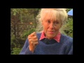 Ecologist And Author Anne LaBastille Shows Us Her Home In The Wilderness