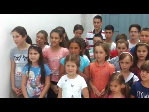 De-aș avea în mână o chitară,  zum, zum ! - video