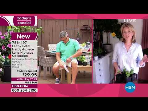 HSN | Guy's in the Garden 03.11.2022 - 11 AM