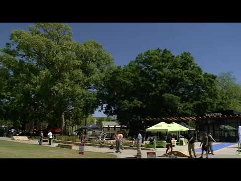 Raleigh seeks development ideas near Moore Square