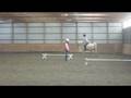Hilarious Fall Off Pony!! 
