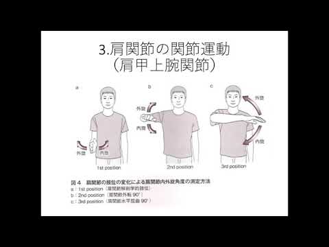 作業療法学科 運動学演習：佐野助教