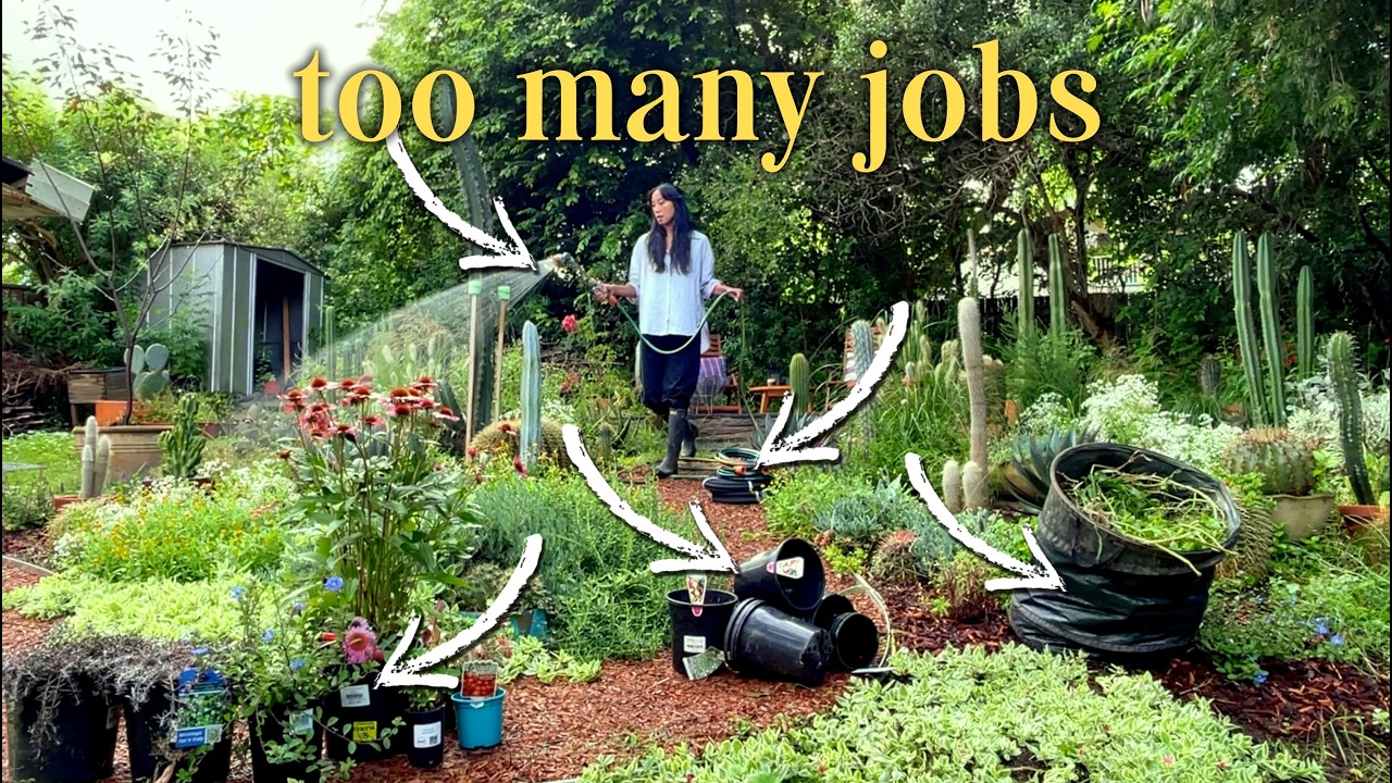 Handling Garden Chaos as a Serial “I Can Do It All” Person