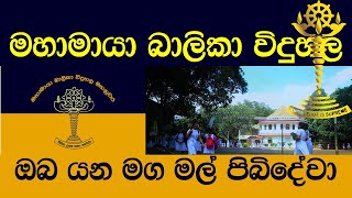 Mahamaya Girls College School anthem Song Sinhala