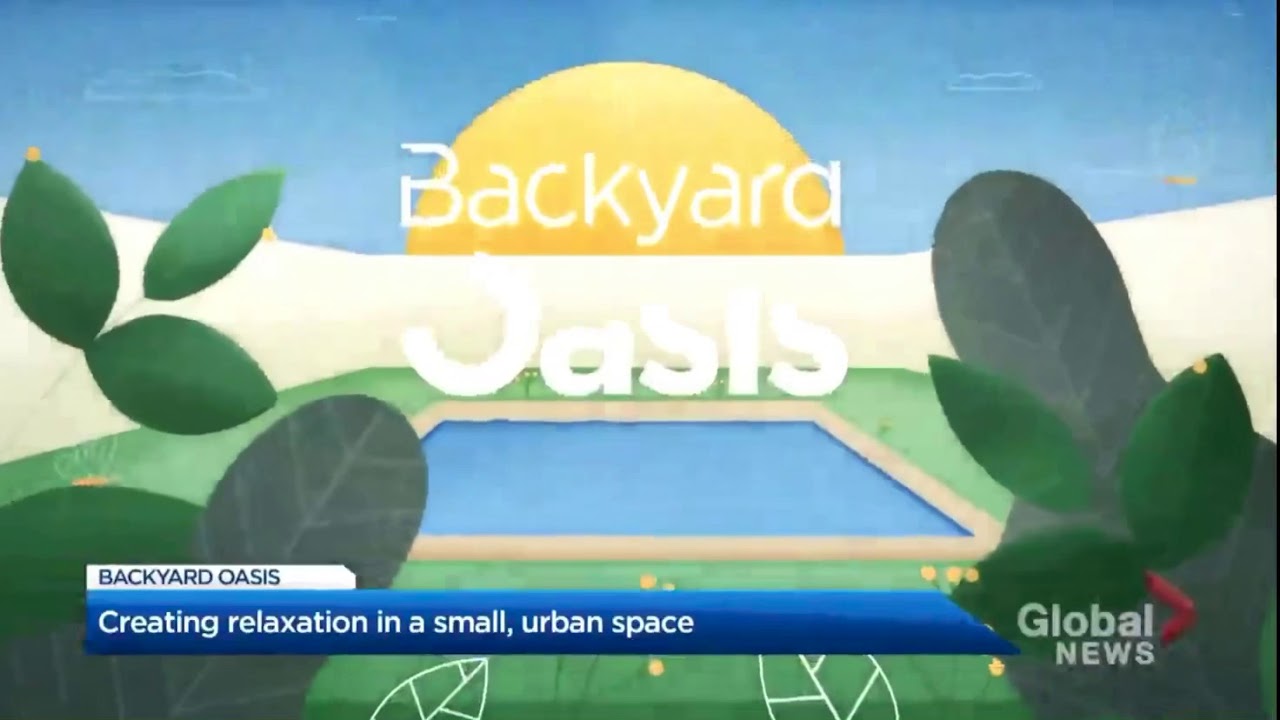 Backyard Oasis