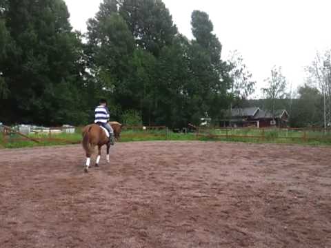 Dressyr , Linnea och Agda