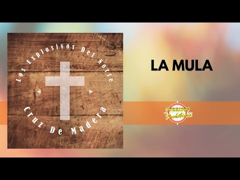 La Mula - Los Explosivos del Norte | Corrido Norteño | Video Letra