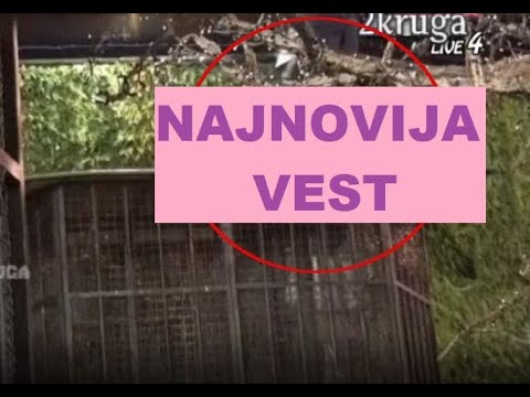 Bebica POBEGAO iz Zadruge - PRESKOČIO OGRADU - ISPLIVAO NECENZIRIIISAN snimak #zadruga #zadrugainfo