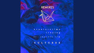 Vultures (feat. Charlie Lim) (Instrumental)