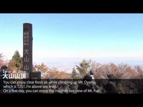 大山　Oyama（文教大学 Bunkyo University）