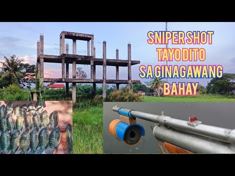 tiksay fish hunting....