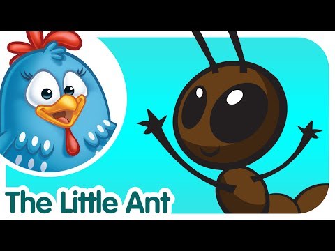 Little Ant - Lottie Dottie Chicken - Kids songs and nursery rhymes in english