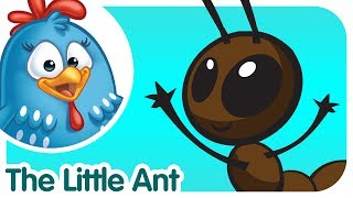 Little Ant - Lottie Dottie Chicken - Kids songs and nursery rhymes in english