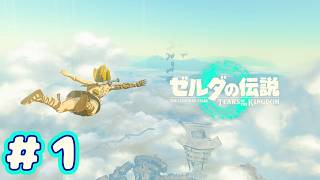 ＃１　空より目覚めし英傑【ゼルダの伝説～ティアーズ オブ ザ キングダム～】