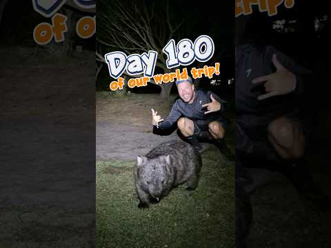 Amazing wildlife at Wilsons Promontory on day 180 of our world trip!