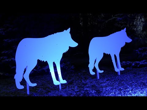 125 Jahre Rostocker Zoo – Polarlichter leuchten ins Jubiläumsjahr