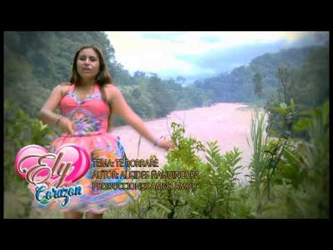 eli corazon y los amarys - te borrare