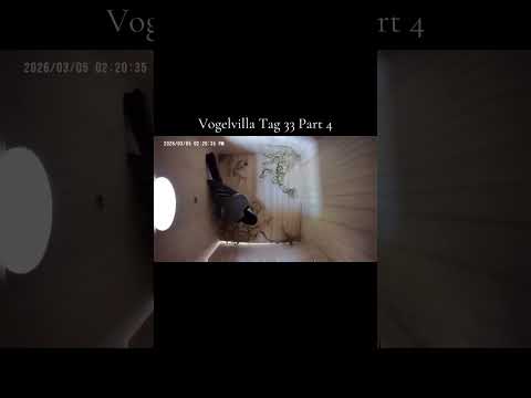 Vogelvilla Tag 33 Part 4