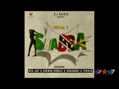 DJ Norie presents Young D ft. Ayo Jay x Kerwin Du Bois x Konshens x Timaya - Shabba