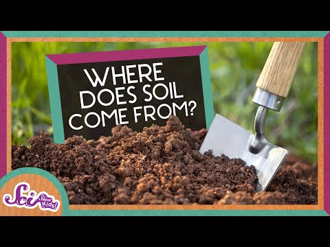 Where Does Soil Come From?