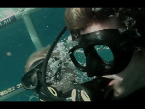 Open Water 3 Cage Dive (2017) Exclusive Clip "Boat Hit By Wave" HD, Shark Week