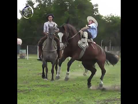 Rueda en basto SIGUIENDO EL RASTRO en Campo El Matrero en Macia Entre Rios