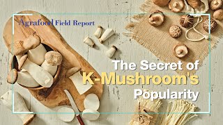 [Agrafood Field Report EP.01] Go-to Korean mushrooms
