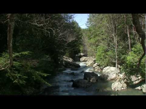 Savage Falls - Tennessee