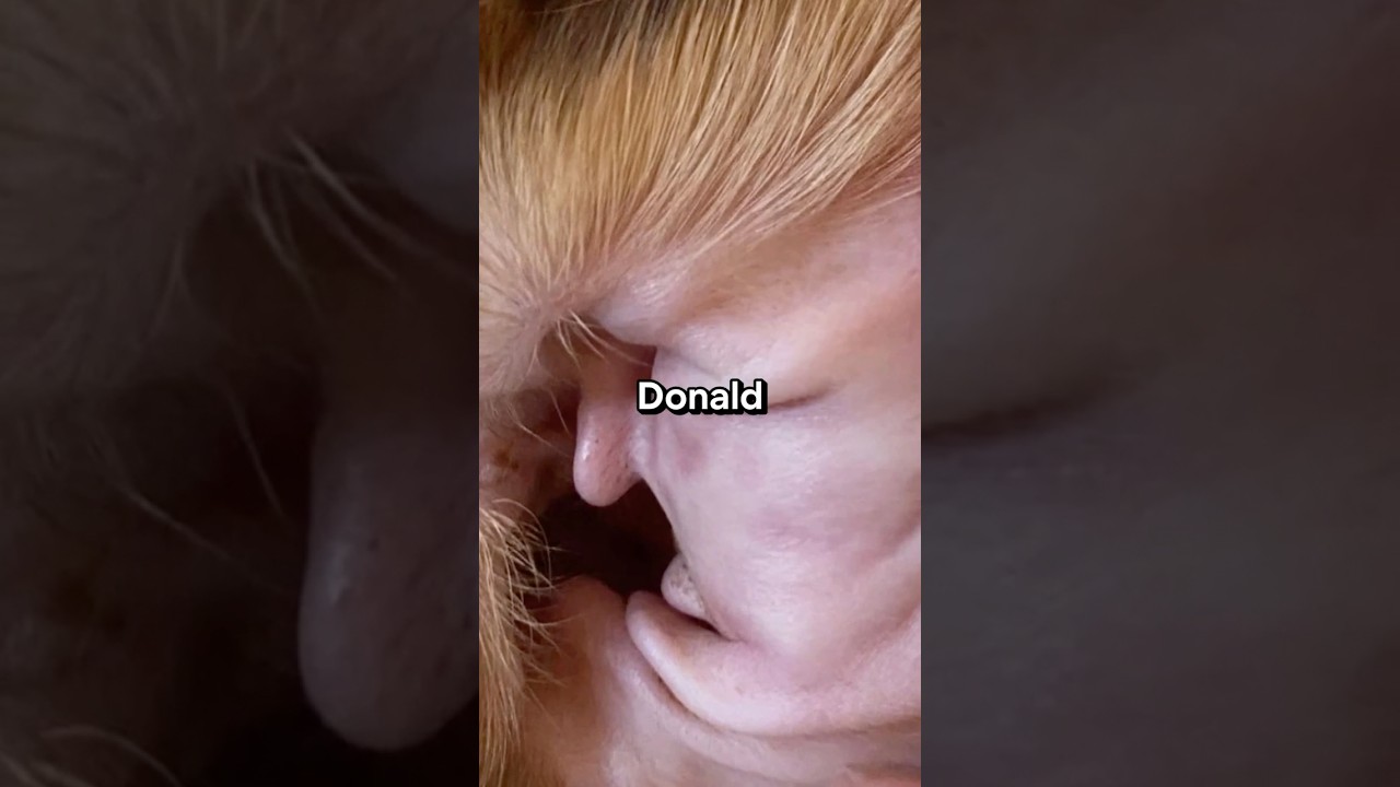 Rare photos youve to see before you die part 25