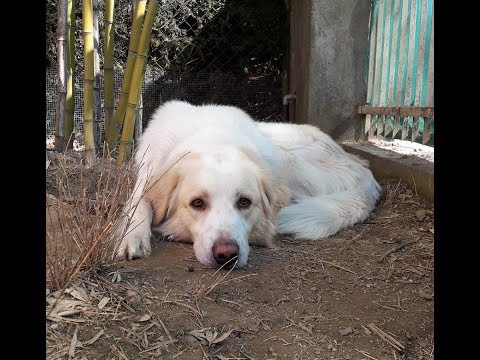 Una seconda opportunità per GARETH