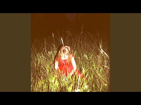 Video thumbnail for Птицы (Birds)