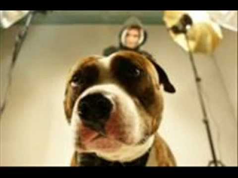 J'arrive by Gras Du Bide