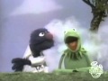Sesame Street Fire