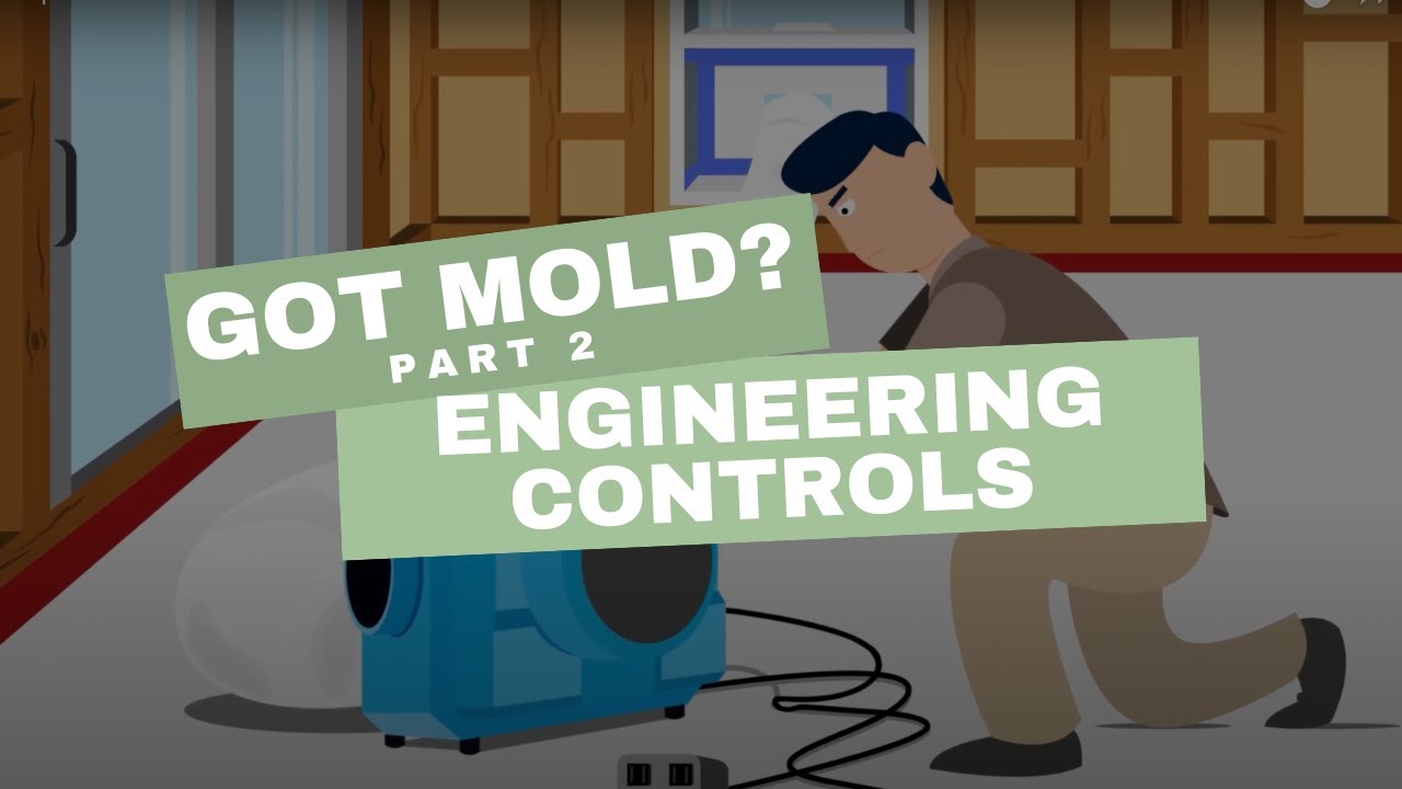 Got Mold? | Part 2: Engineering Controls