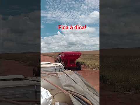 Bela vista de Goiás