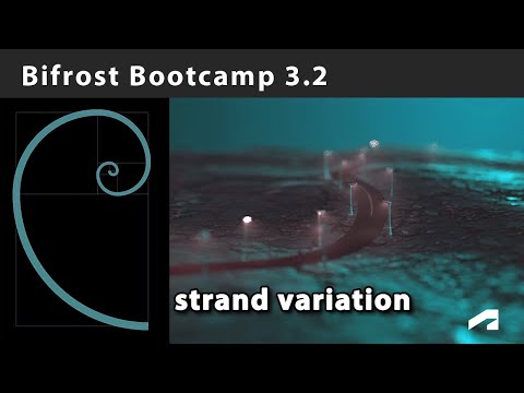 Bifrost Bootcamp 3.2 - Varying properties along strands