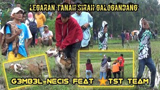 Download lagu BERBURU LEGARAN TANAH SIRAH GALOGANDANG SUMATERA BARAT mp3